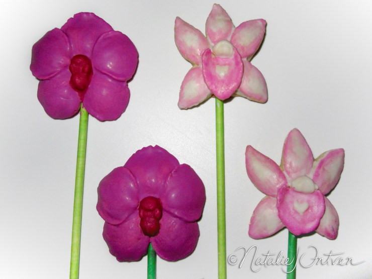 natalieintven_FlowerCookies_06