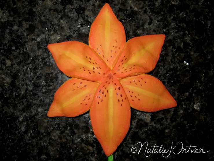 natalieintven_FlowerCookies_19